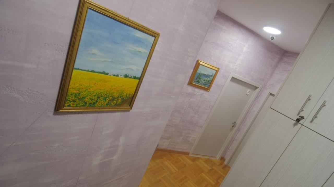Stella Di Notte Vip Hostel Belgrád Kültér fotó