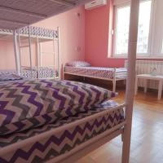 Stella Di Notte Vip Hostel Belgrád Kültér fotó